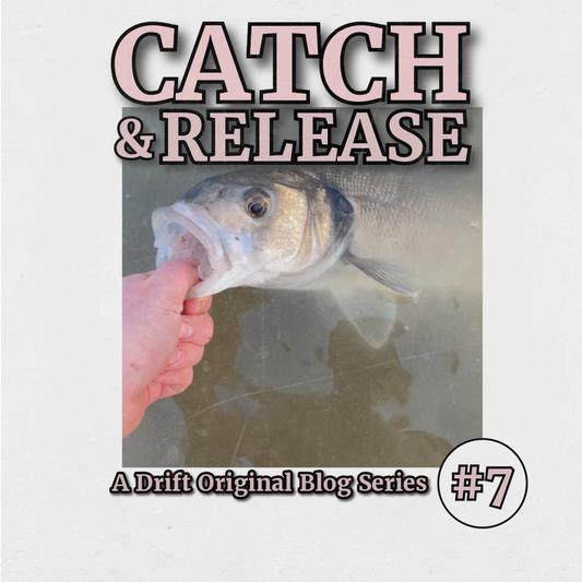 Catch & Release