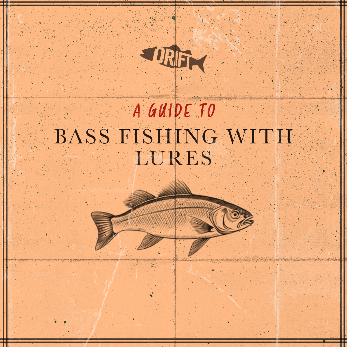 bass fishing lures guide THKFISH Kit, Fishing Gear Kit for Freshwater Saltwater Tackle Box with Tackle Included Topwater Baits, Spinner bait, Frog, Hooks/Weights Accessories Gift for Adults : Sports & Outdoors A Guide to Lure Fishing: