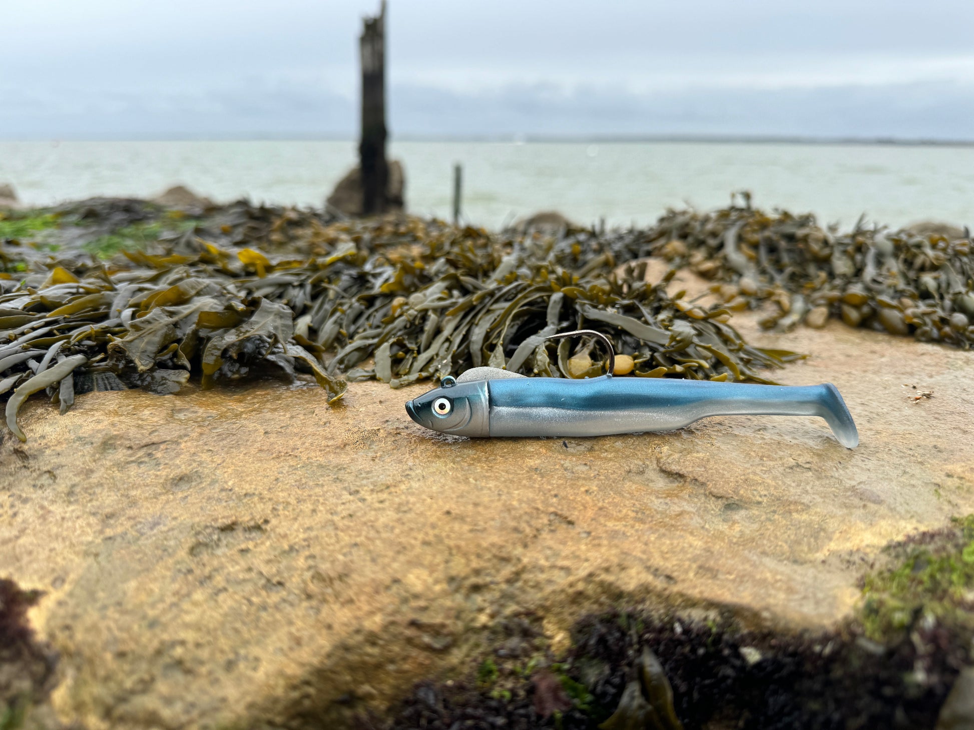 Drift Shad Blue Beach View