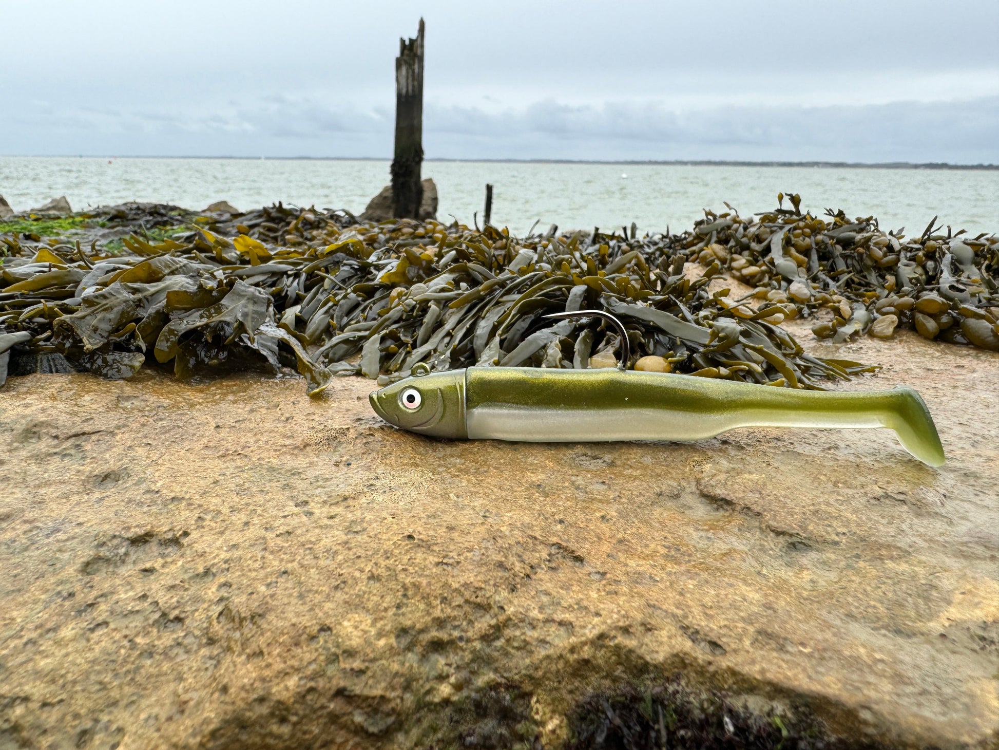 Drift Shad Khaki Beach View