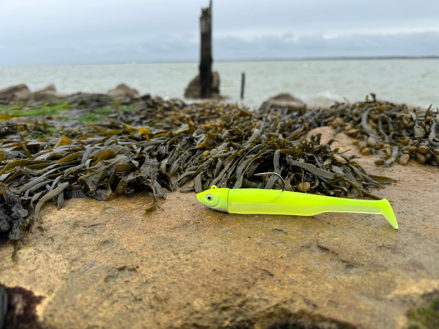 Drift Shad Lemon Beach View