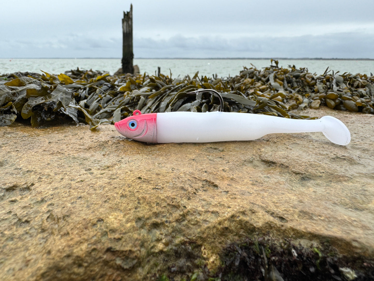 Drift Shad White and Red Head Beach View