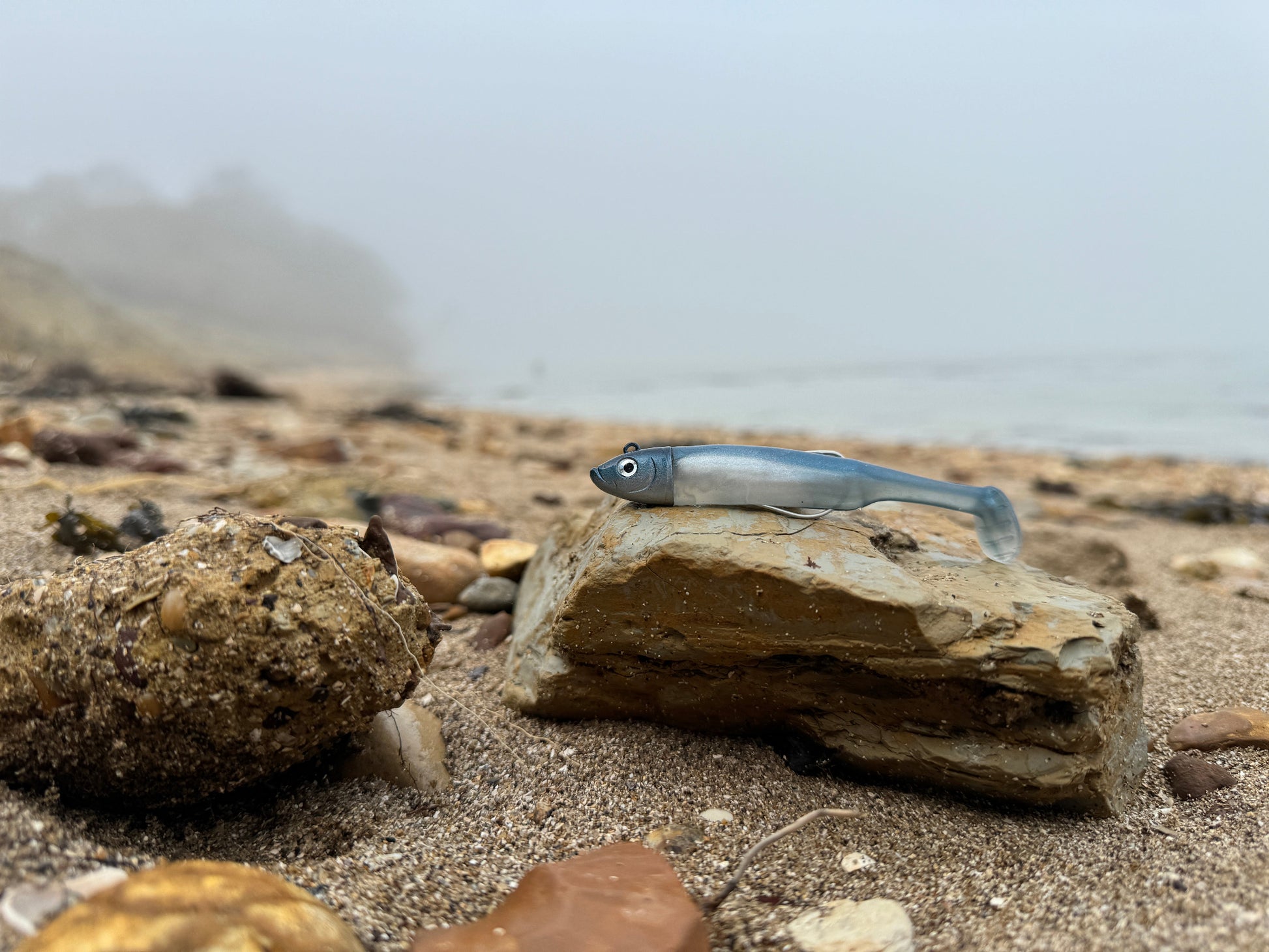 Drift Shoal Shad Blue Beach View