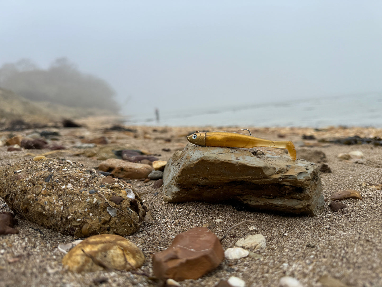Drift Shoal Shad Gold Beach View