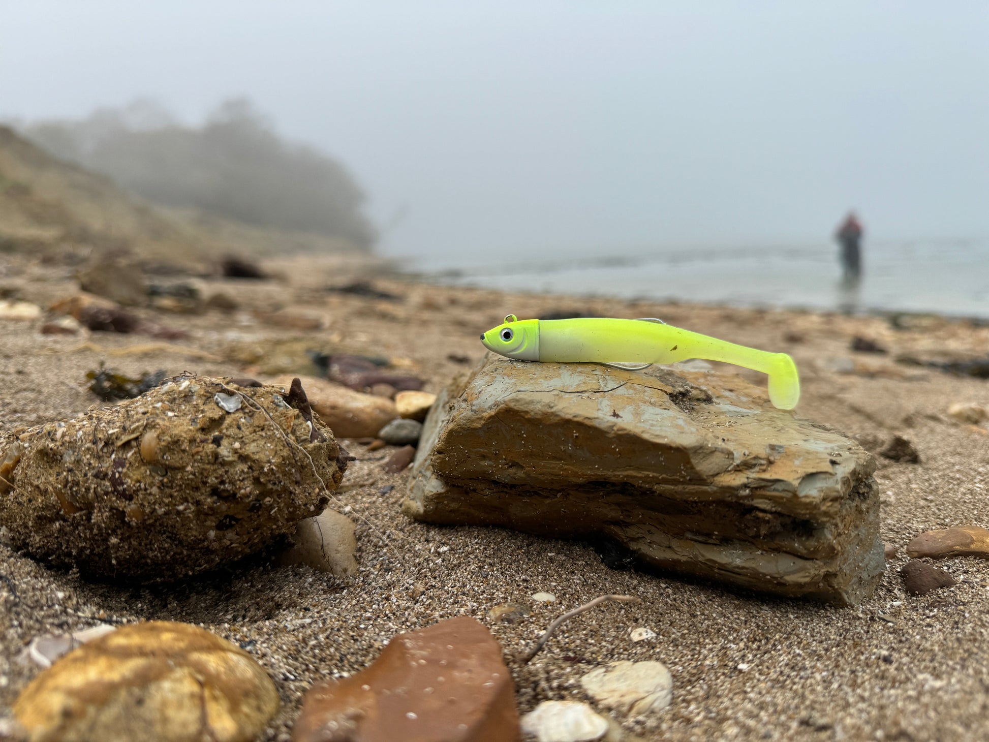 Drift Shoal Shad Lemon Beach View