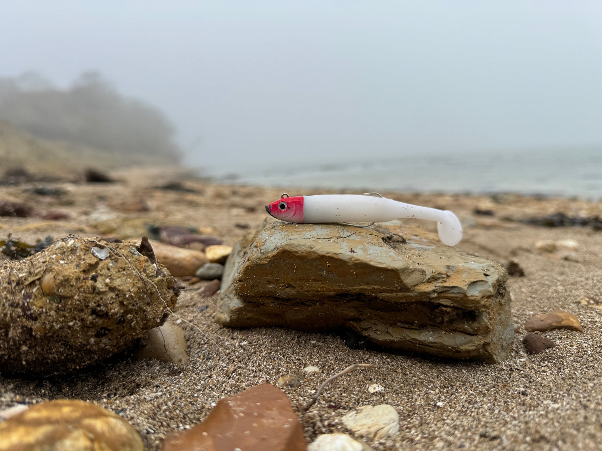 Drift Shoal Shad White and Red Head Beach View