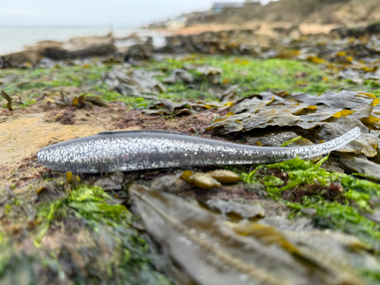 Drift Shoal Stick Black and Silver Beach View
