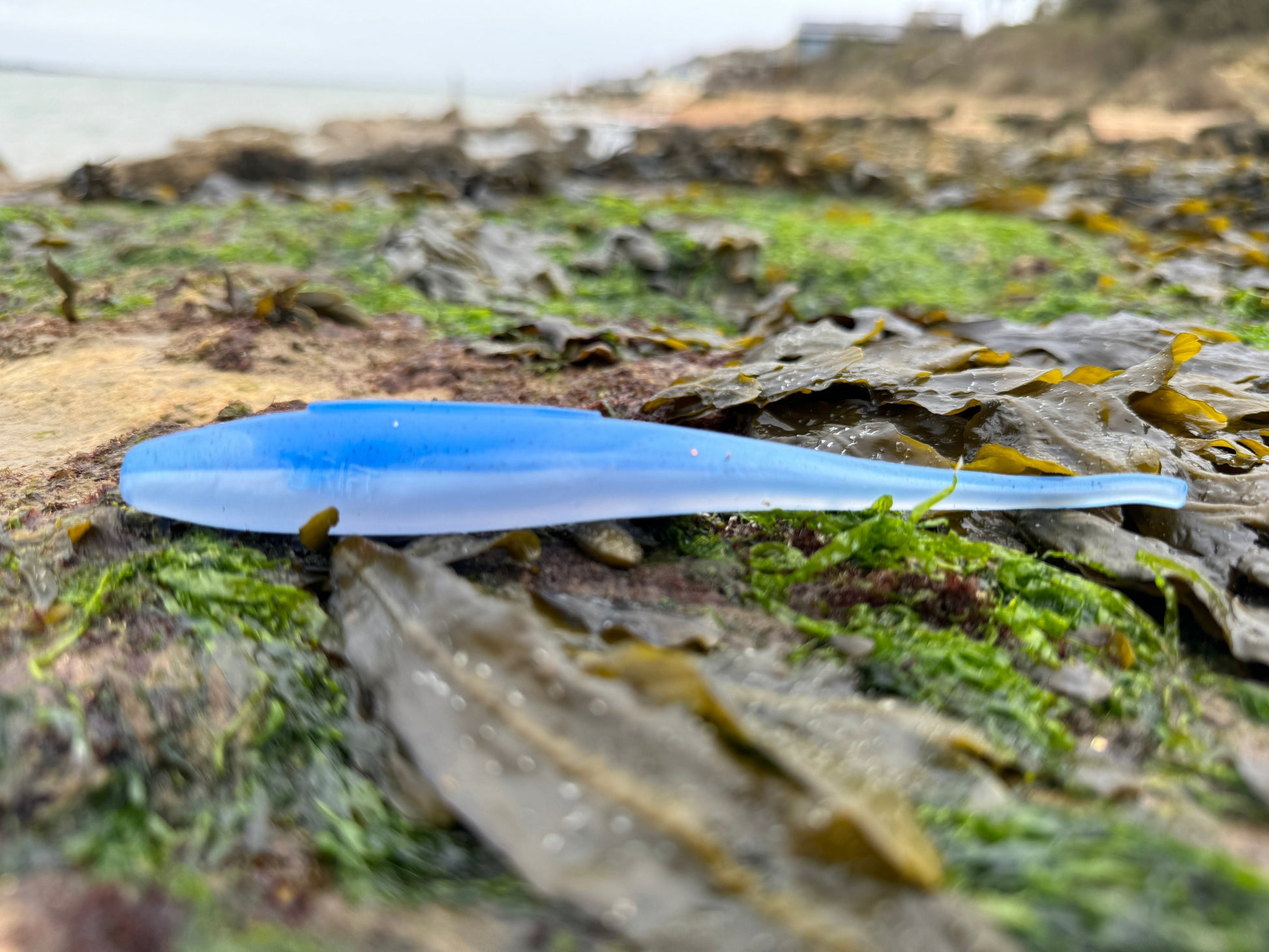 Drift Shoal Stick Blue and Silver Beach View