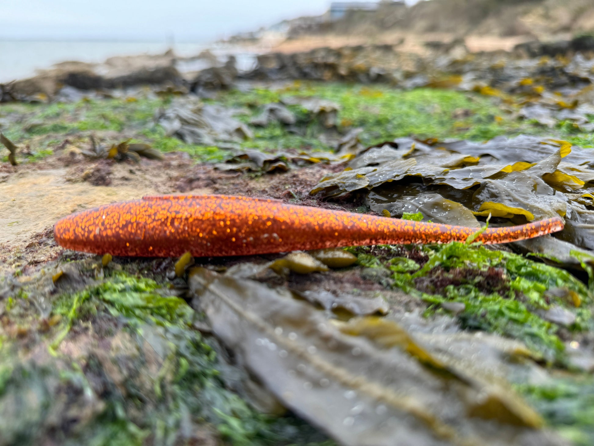 Drift Shoal Stick Bronze Beach View