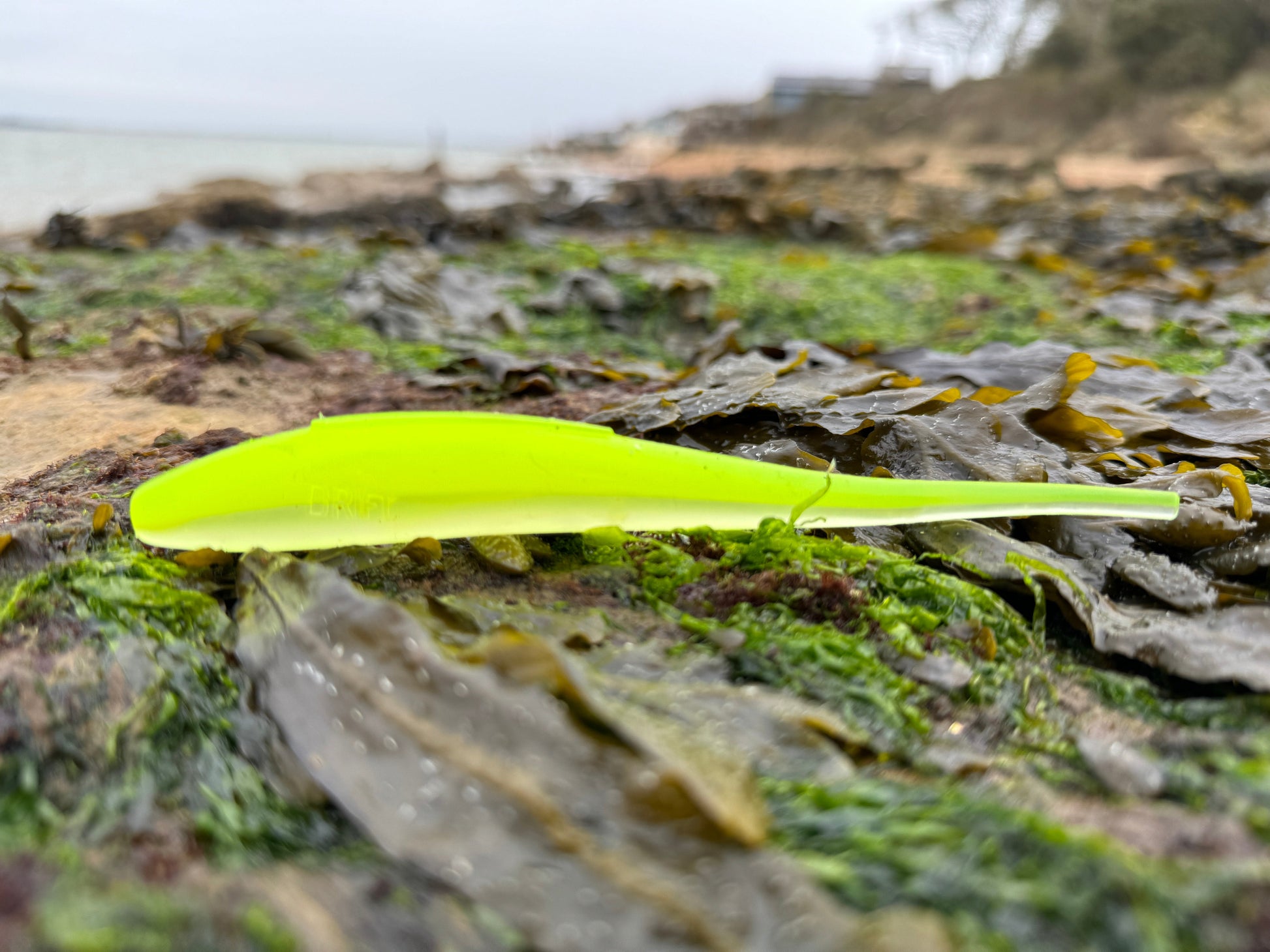 Drift Shoal Stick Lemon Beach View