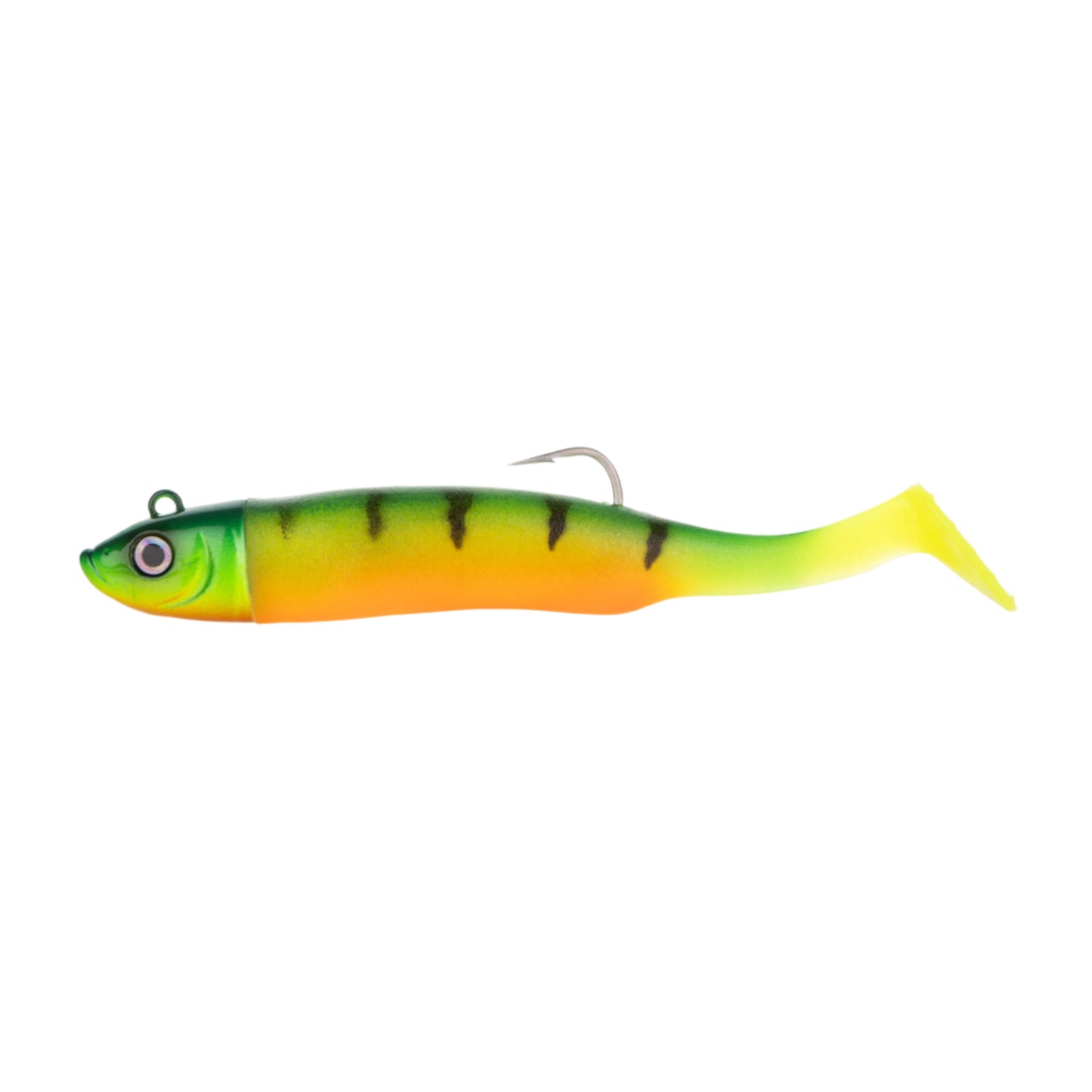 Shoal Shad Fire Perch Profile View