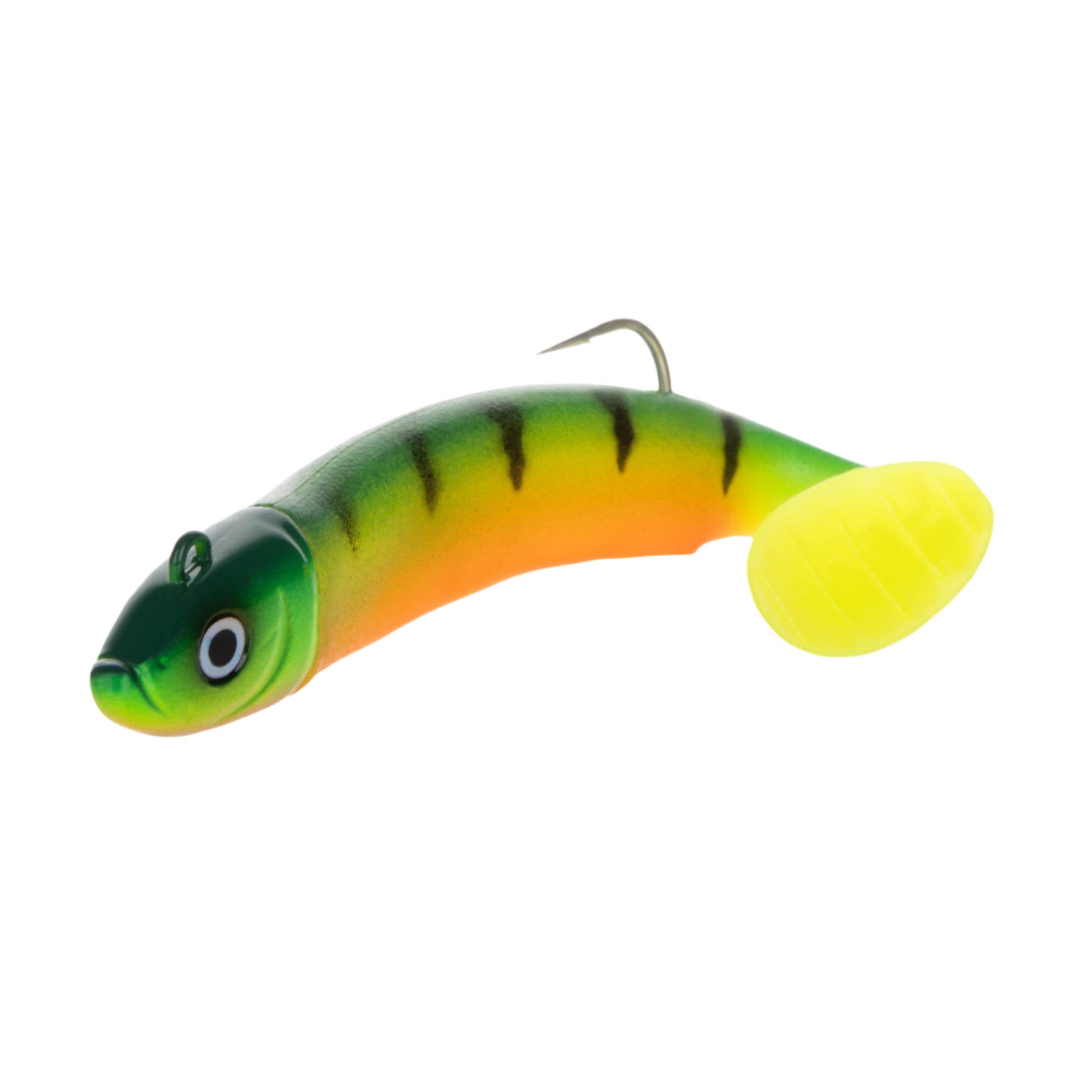 Shoal Shad